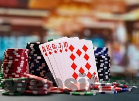明牌4张抢庄牛牛棋牌-明牌4张抢庄，牛牛棋牌的乐趣与策略